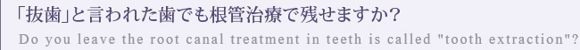 「抜歯」と言われた歯でも根管治療で残せますか？