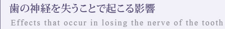 歯の神経を失うことで起こる影響