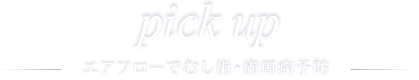 Pick up エアフローでむし歯・歯周病予防